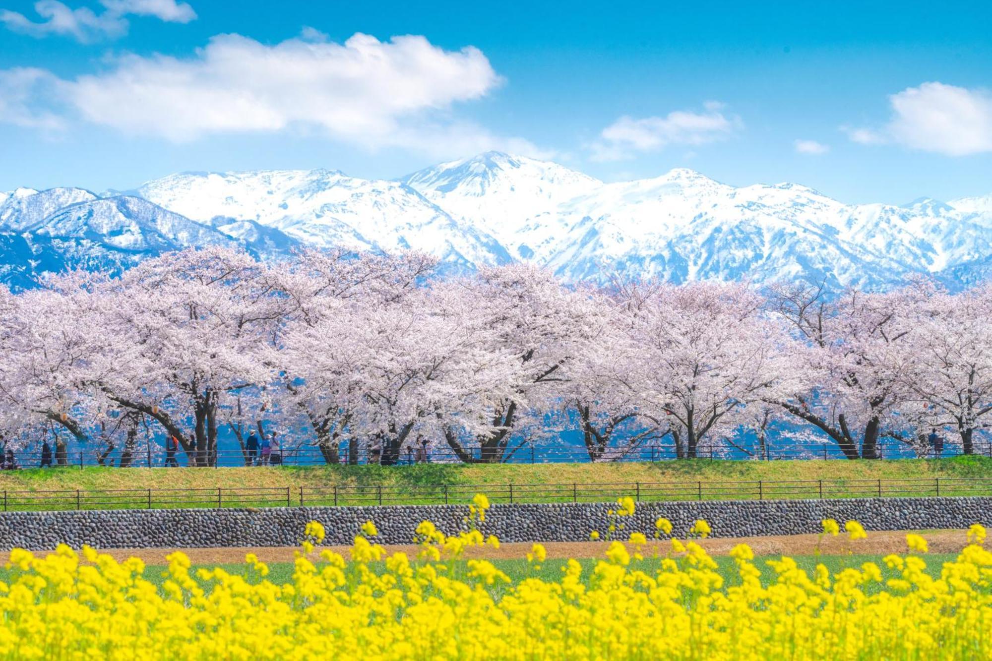 Hotel Mercure Toyama & 3*